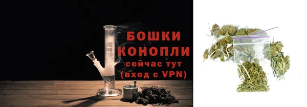 ПСИЛОЦИБИНОВЫЕ ГРИБЫ Баксан