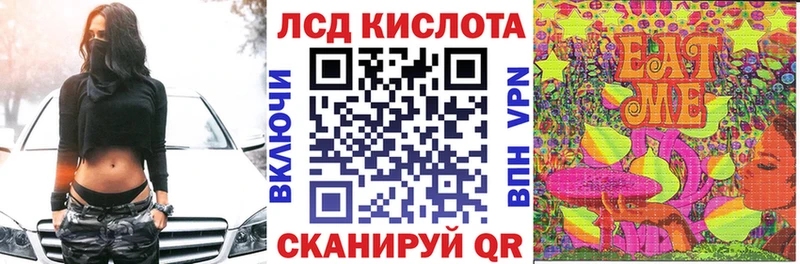 kraken как зайти  Волхов  Наркотические марки 1,5мг 
