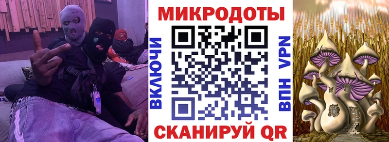 купить закладку  MEGA как зайти  Псилоцибиновые грибы Cubensis  Волхов 